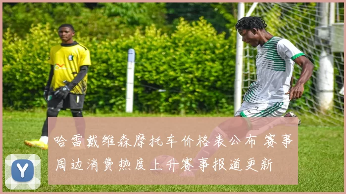 哈雷戴维森摩托车价格表公布 赛事周边消费热度上升赛事报道更新