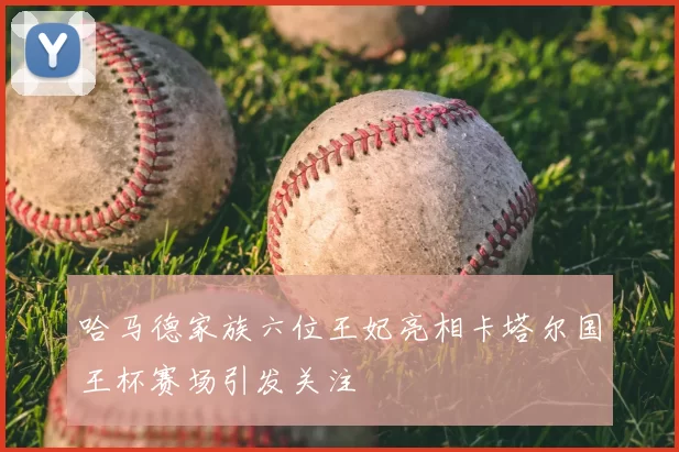 哈马德家族六位王妃亮相卡塔尔国王杯赛场引发关注