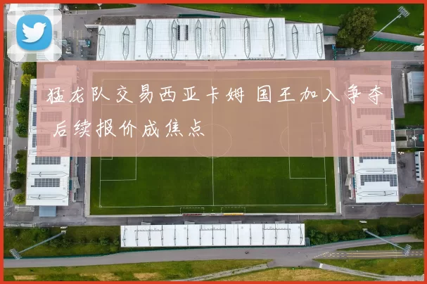 猛龙队交易西亚卡姆 国王加入争夺 后续报价成焦点