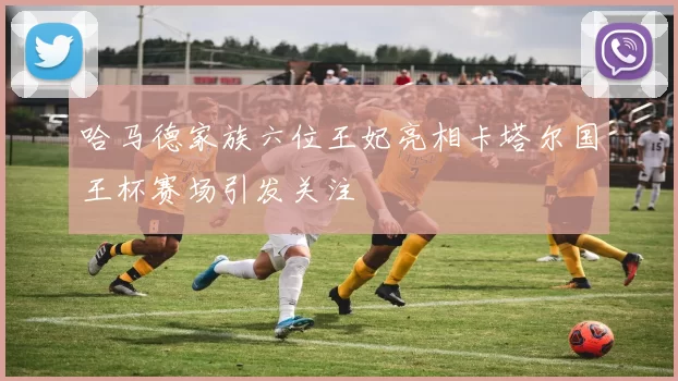 哈马德家族六位王妃亮相卡塔尔国王杯赛场引发关注