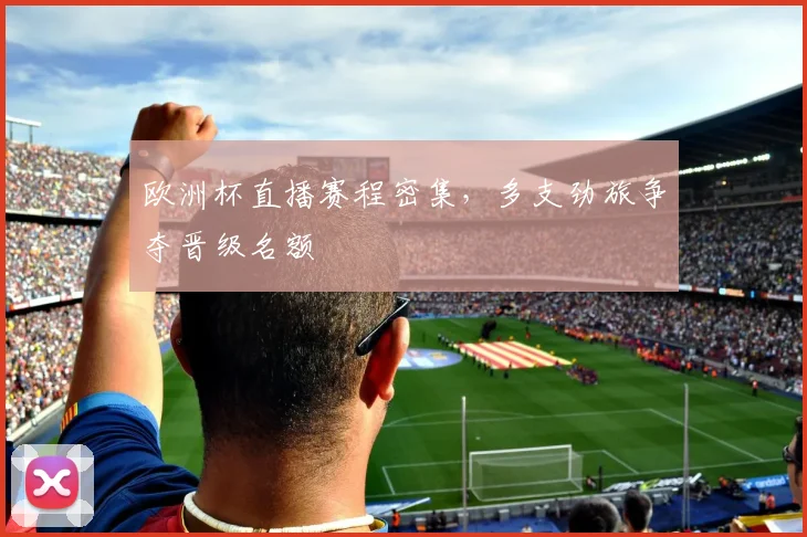 欧洲杯直播赛程密集,多支劲旅争夺晋级名额