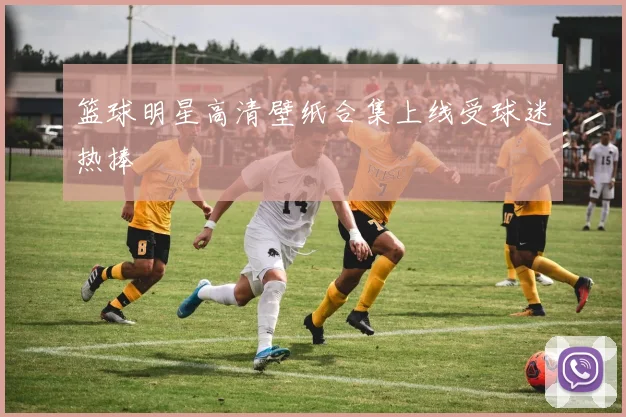 篮球明星高清壁纸合集上线受球迷热捧
