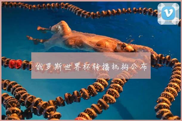 俄罗斯世界杯转播机构公布