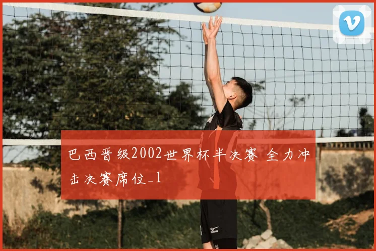 巴西晋级2002世界杯半决赛 全力冲击决赛席位_1